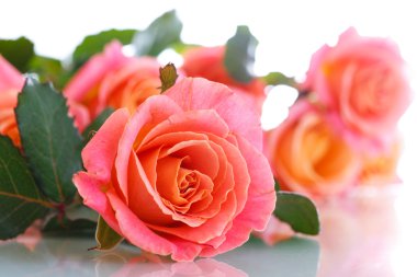 Bir buket pembe gül.