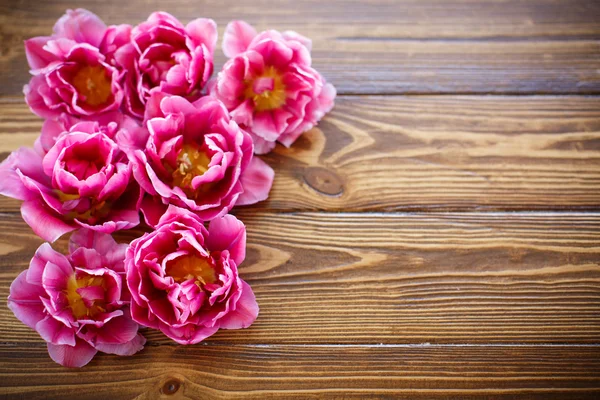 Куча красивых тюльпанов — стоковое фото