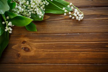 çiçek açan lily vadi