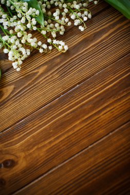 çiçek açan lily vadi