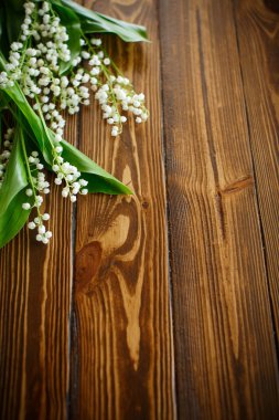 çiçek açan lily vadi