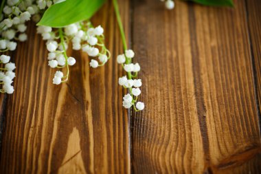 çiçek açan lily vadi