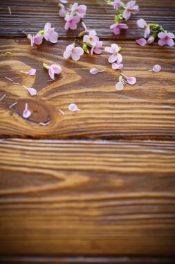 Bahar Çiçekleri Buketi