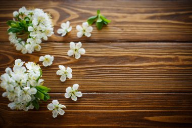 bahar çiçekleri, meyve ağaçları 