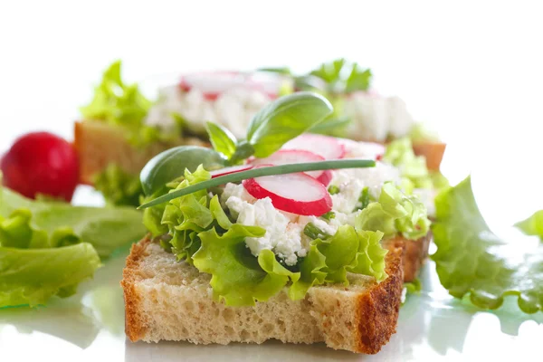 Sandwich with cheese, radish and lettuce — Stock Photo, Image