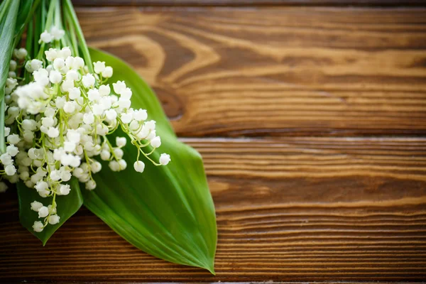 Lirio floreciente del valle — Foto de Stock