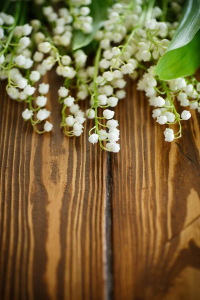 盛开是谷中的百合花 — 图库照片