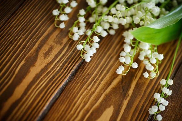 çiçek açan lily vadi