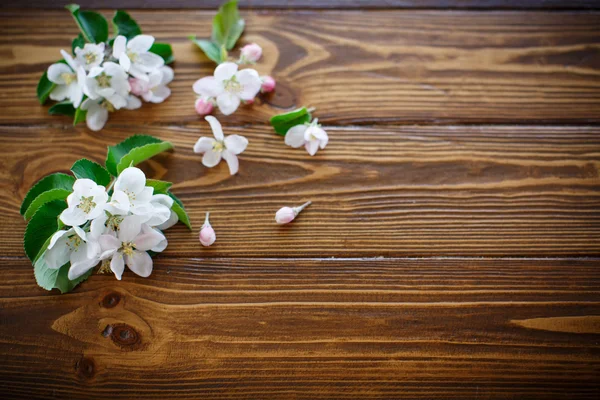 Fleurs printanières d'arbres fruitiers — Photo