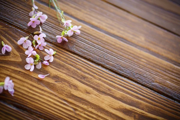 Boeket van de lente bloemen — Stockfoto