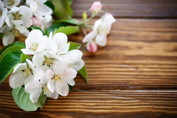 Flores de primavera de árvores de fruto — Fotografia de Stock