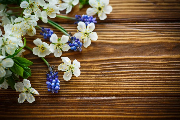 bahar çiçekleri, meyve ağaçları 