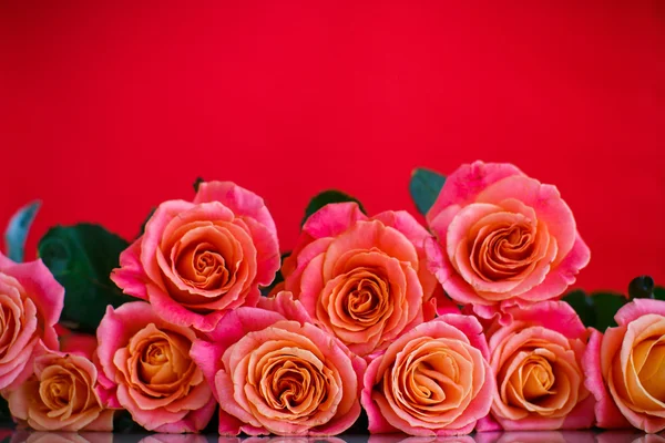 Bouquet di rose rosa — Foto Stock