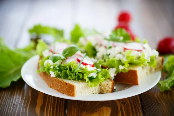 Sandwich with cheese, radish and lettuce — Stock Photo, Image