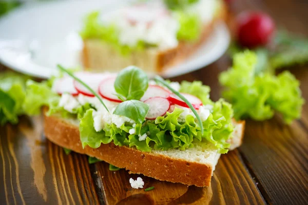Sandwich with cheese, radish and lettuce — Stock Photo, Image