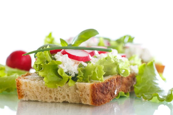 Sandwich mit Käse, Rettich und Salat — Stockfoto
