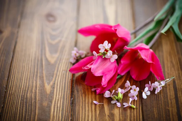 Bunch of beautiful tulips — Stock Photo, Image