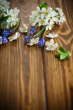 bahar çiçekleri, meyve ağaçları