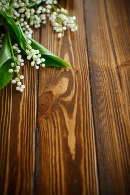 çiçek açan lily vadi