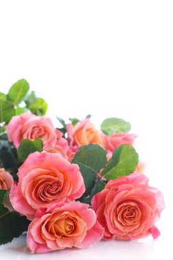 Bir buket pembe gül.