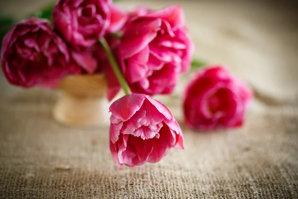 Bunch of beautiful tulips — Stock Photo, Image