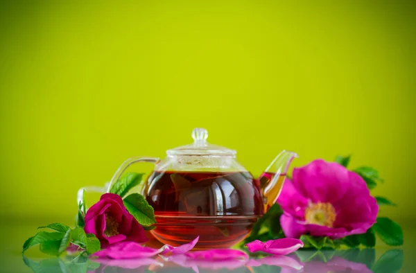 Thé frais à la rose musquée — Photo