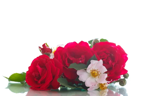 Strauß schöner roter Rosen — Stockfoto