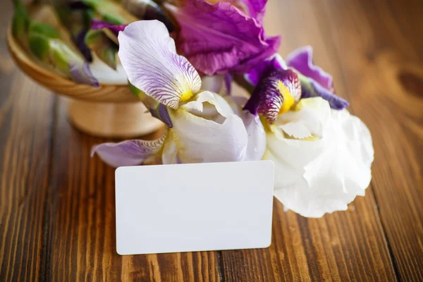 Beautiful white with purple irises — Stock Photo, Image
