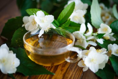 Bir cam kapta Yasemin çayı