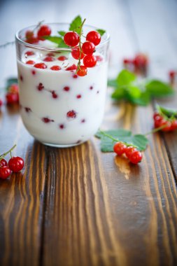 Kırmızı kuş üzümü ile tatlı ev yapımı yoğurt