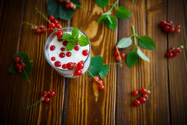 Sweet homemade yogurt with red currants — Stock Photo, Image