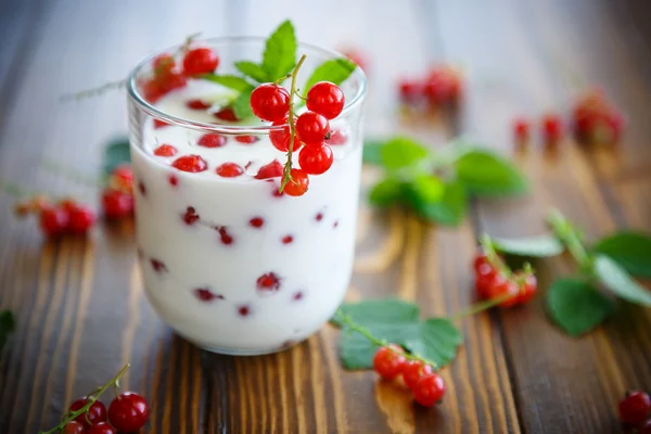 Sweet homemade yogurt with red currants — Stock Photo, Image