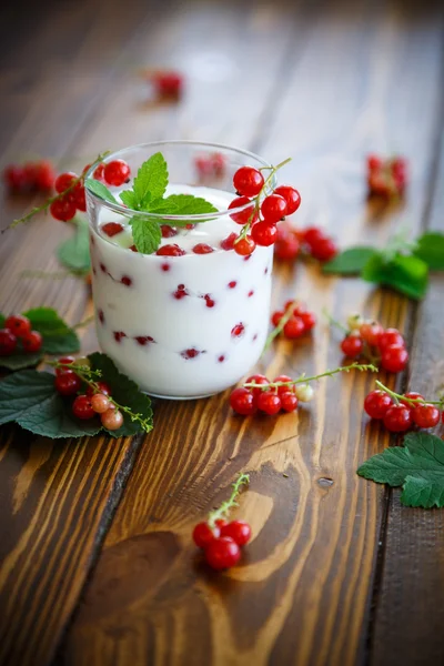 Süßer hausgemachter Joghurt mit roten Johannisbeeren — Stockfoto