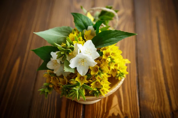 Hermosas flores amarillas de verano — Foto de Stock