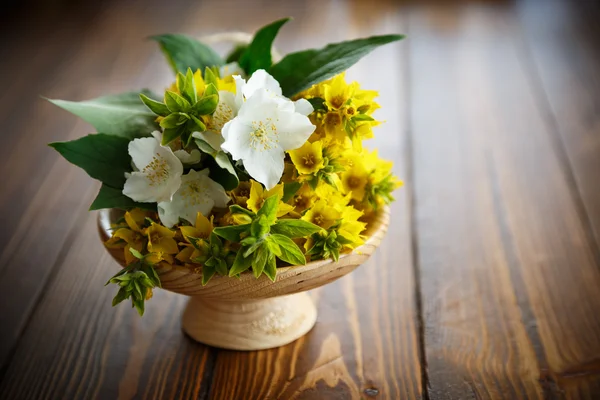 Hermosas flores amarillas de verano — Foto de Stock