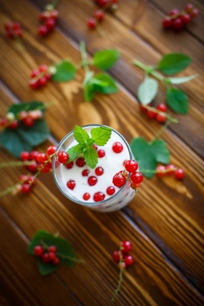 Iogurte caseiro doce com groselhas vermelhas — Fotografia de Stock