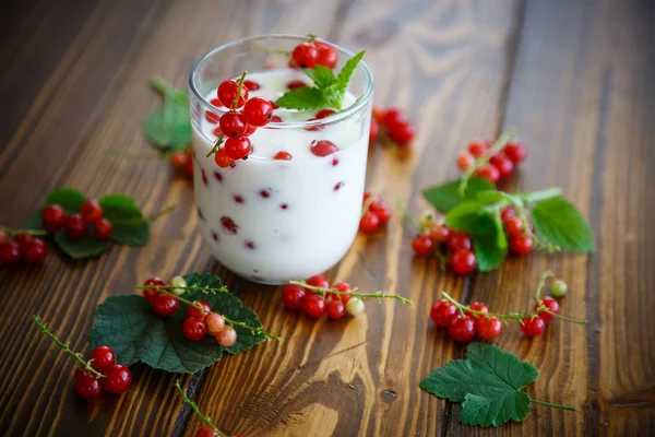 Söt hemmagjord yoghurt med röda vinbär — Stockfoto