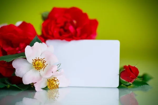 Buquê de belas rosas vermelhas — Fotografia de Stock