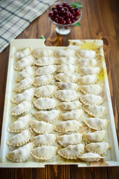 Ruwe dumplings met vulling — Stockfoto