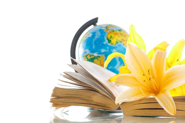 Globo con libros y flores — Foto de Stock