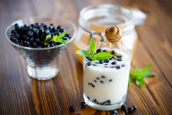 Söt hemmagjord yoghurt med blåbär och honung — Stockfoto