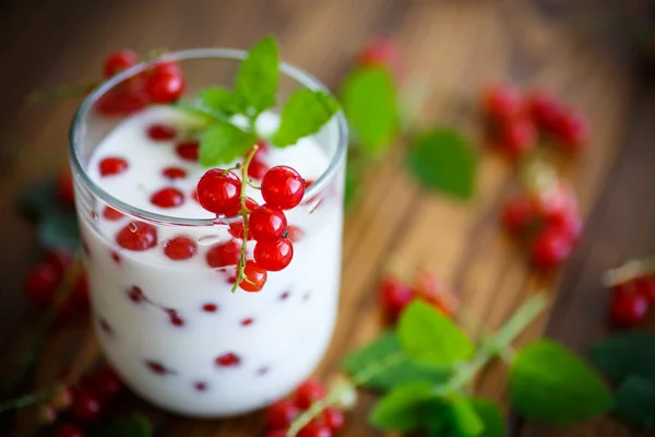 Zoete zelfgemaakte yoghurt met rode aalbessen — Stockfoto