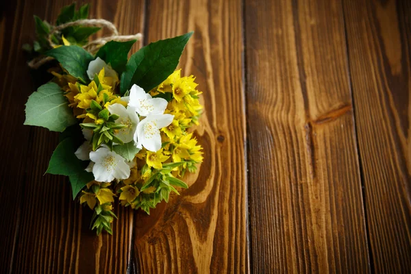 Krásné žluté květy v létě — Stock fotografie