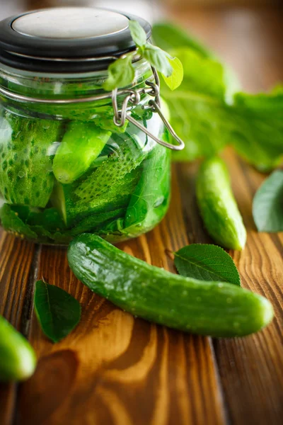 Cetrioli sottaceto con spezie in barattolo di vetro — Foto Stock