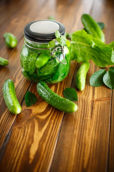 Ingelegde komkommers met specerijen in glazen pot — Stockfoto