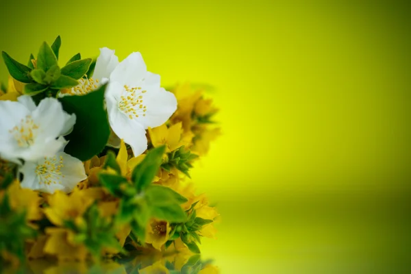 Bellissimi fiori gialli estivi — Foto Stock