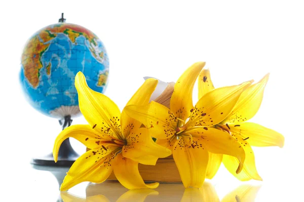 Globe with books and flowers — Stock Photo, Image