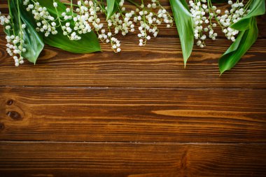 çiçek açan lily vadi