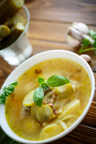 Soup with pickled cucumbers — Stock Photo, Image