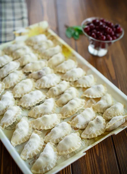 Surowe Pierogi z nadzieniem — Zdjęcie stockowe